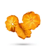 18 Foods dried persimmon